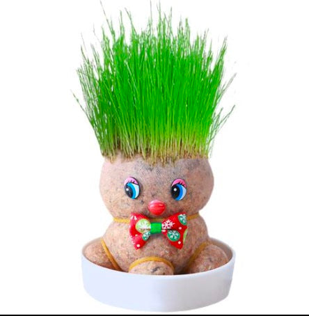 Growing Grass Head Doll Mini Bonsai – DIY Plant Growing Kit for Kids & Adults